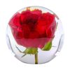 Leni Handcrafted Floral Resin Sphere W/ Real Red Roses Clear 8x7.5cm