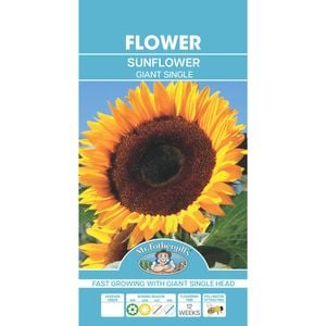 Mr Fothergill's Sunflower Giant Single Seeds