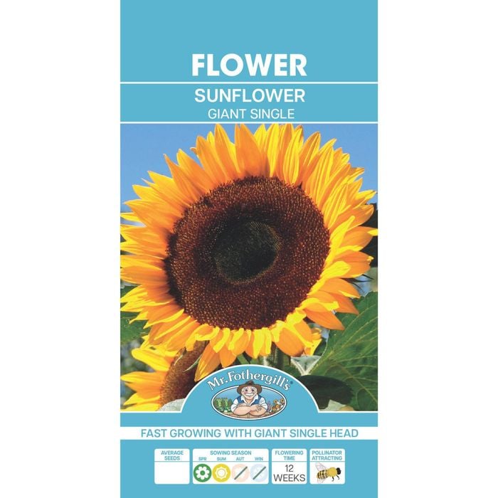 Mr Fothergill's Sunflower Giant Single Seeds