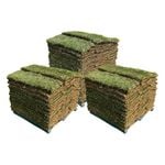 Sir Walter DNA Certified Buffalo 130m² Soft Leaf Buffalo Turf - Pallet