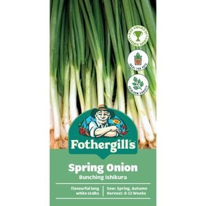 Fothergill's Bunching Spring Onion Vegetable Seeds