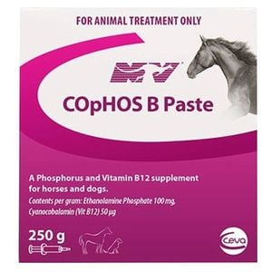 Cophos B Paste Vitamin B12 Lactic Acid Muscle Vitamin Dog Horse 250g