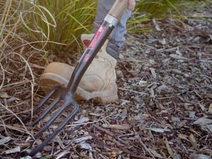 Using garden tool to dig mulch