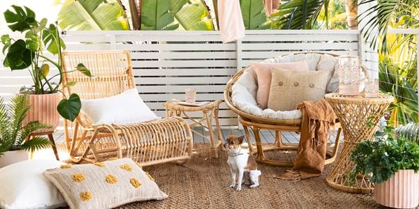 A modern style outdoor lounge retreat on a deck with hanging festoon lights, drinks trolley and potted plants with dog sitting on the rug