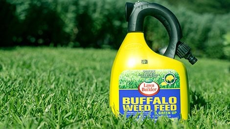 Bottle of weed killer