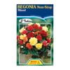 Fiesta Flower Bulbs Begonia Non Stop Mixed - 3 Tubers