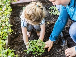 DIY Advice Image - Gardening for kids . G Drive blob storage upload.