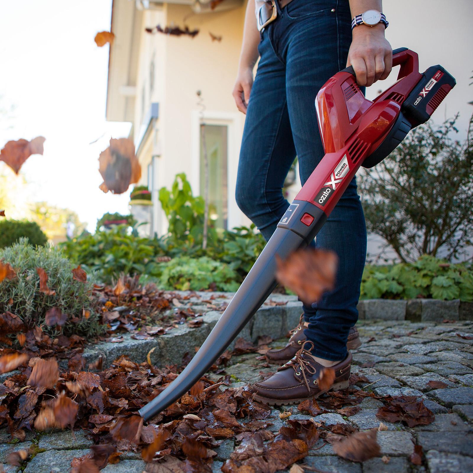 Battery operated leaf blower bunnings sale