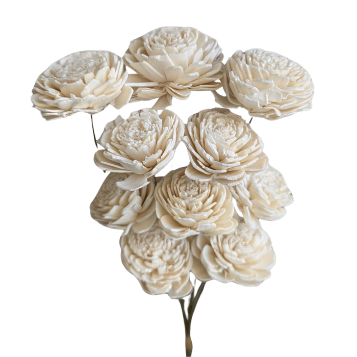 Blooms Of Joy 30cm White Sola Rose Flowers