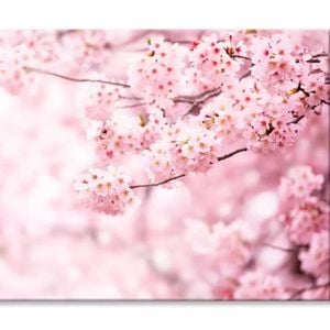 Cherry Blossom In Full Bloom View  Print 100% Australian Made 150 x 100cm  (Stretched)