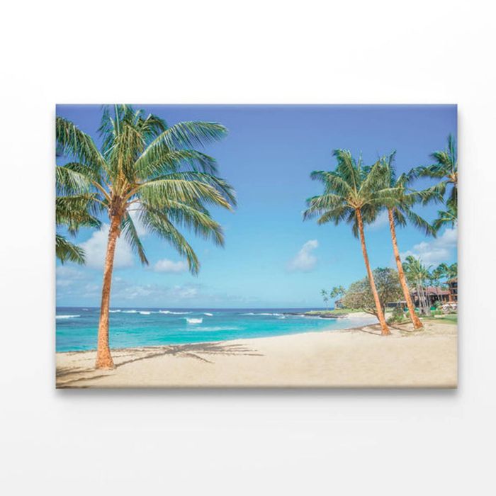 Palm Trees on The Sandy Beach in Hawaii  Print 100% Australian Made 50 x 40cm  (Acrylic)