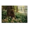 White Flowering Ramson Green Forest  Print 100% Australian Made 90 x 60cm  (Acrylic)