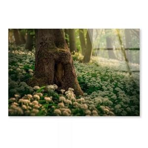 White Flowering Ramson Green Forest  Print 100% Australian Made 90 x 60cm  (Acrylic)