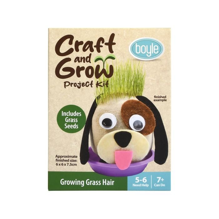 Boyle Craft And Grow Growing Grass Hair Project Kit