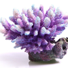 Aqua One Acropora Purple/Aqua Coral Ornament (36881)