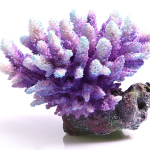 Aqua One Acropora Purple/Aqua Coral Ornament (36881)