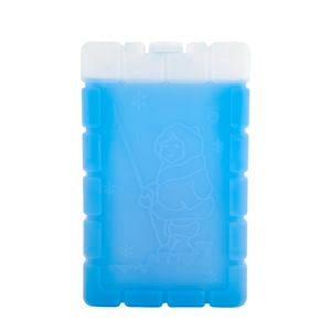 Esky Ice Brick Large