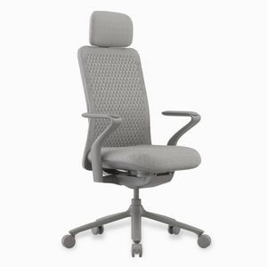 Desky Pro Ergonomic Mesh Chair with Headrest