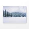 Coniferous Forest on Snow   Print 100% Australian Made 50 x 40cm  (Acrylic)