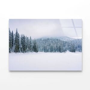 Coniferous Forest on Snow   Print 100% Australian Made 50 x 40cm  (Acrylic)