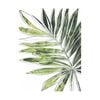 Artey | Expressive Palm IV - Stretched Canvas - Stretched Canvas - 45 x 60cm