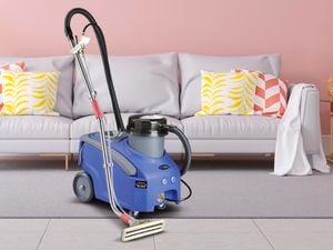 Britex carpet cleaner