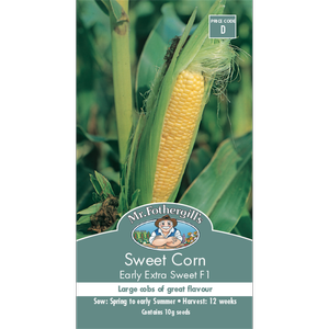 Mr Fothergill's Early Extra Sweet Sweet Corn Vegetable Seeds