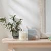 Candle Freesia & Tea 11.3x8.6x8.6cm Green Botanical House