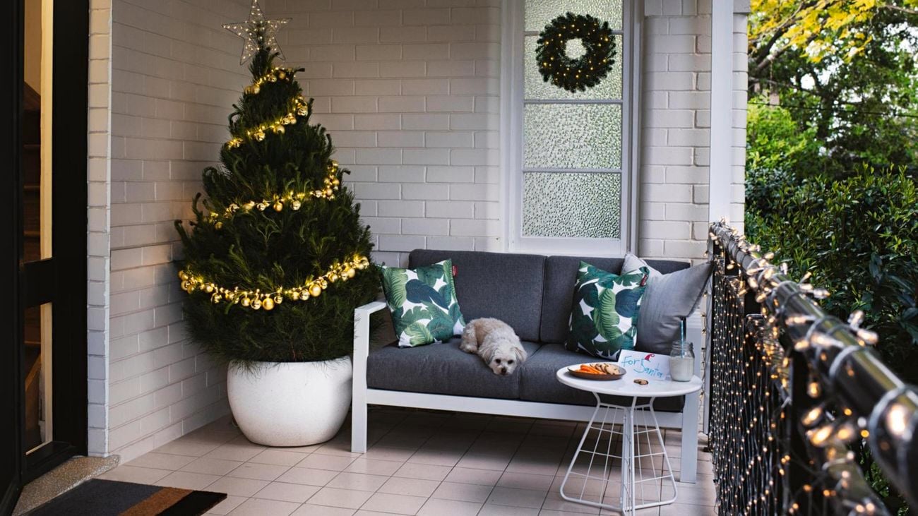 Christmas tree, couch, dog on balcony.