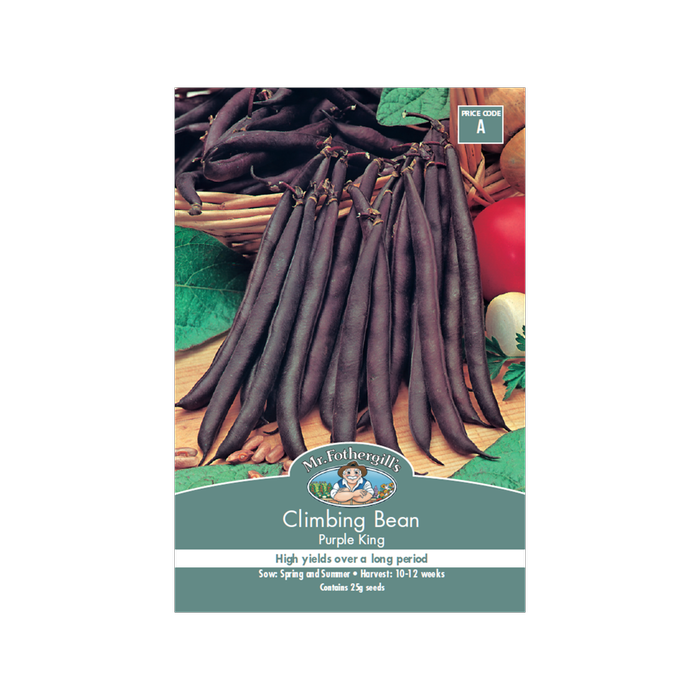 Mr Fothergill's Climbing Bean Purple King Seeds