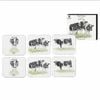 Ashdene Meet The Girls - Coasters (Pack of 6)