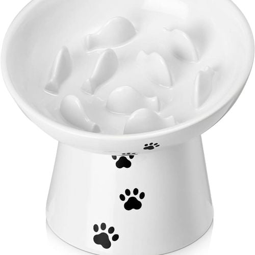 Wet food slow feeder sales