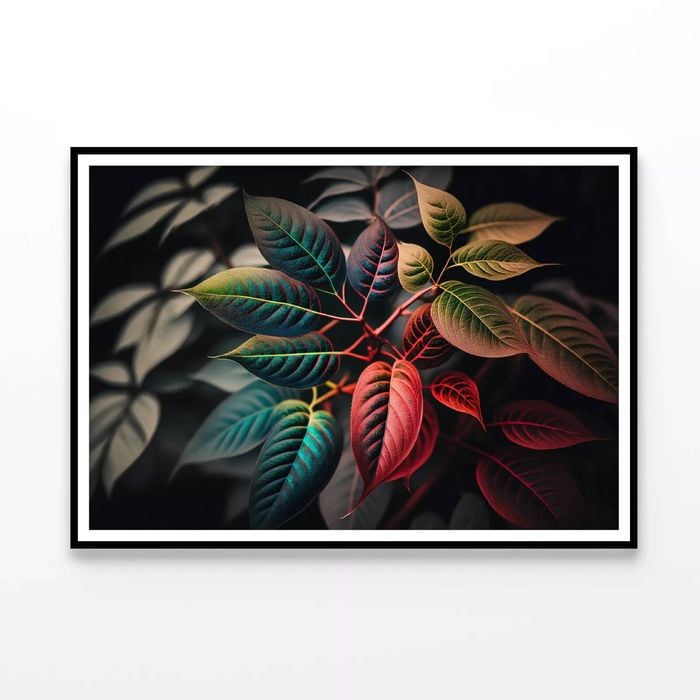 Leaves Close-Up View  Print 100% Australian Made 90x60cm  (Poster)