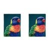 2PK Ashdene Cotton 70x50cm Modern Birds Rainbow Lorikeet Kitchen Towel