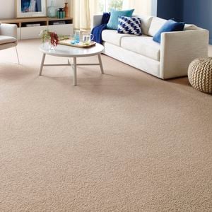 Carpet - Living room - Wide