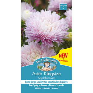 Mr Fothergill's Aster Kingsize Appleblossom