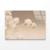 Gypsophila White Flowers  Print 100% Australian Made 90 x 60cm  (Acrylic)