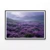 View at Heather Meadows  Print 100% Australian Made 90x60cm  (Poster)