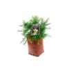 350mm Grevillea Cream And Green - Grevillea rosmarinifolia