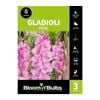 Bloomin' Bulbs Gladioli Pink - 3 Pack