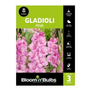 Bloomin' Bulbs Gladioli Pink - 3 Pack