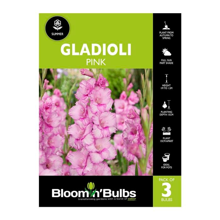 Bloomin' Bulbs Gladioli Pink - 3 Pack