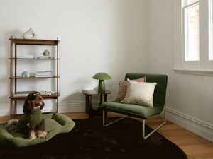 Living space with an armchair, bookshelf, side table lamp and a large dark rug anchoring the seating area.