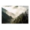 Mistry Forest Mountain  Print 100% Australian Made 50 x 40cm  (Acrylic)