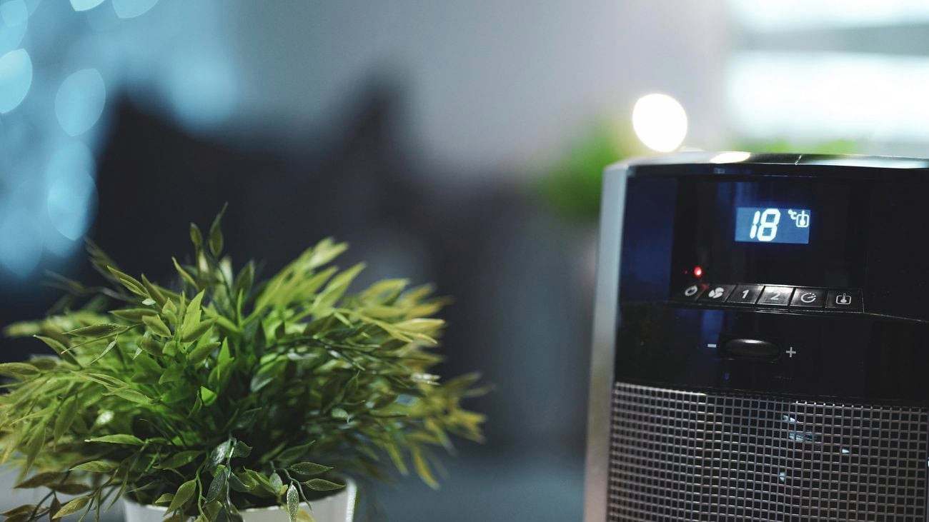 Air Conditioner set to eighteen degrees next to an indoor plant.