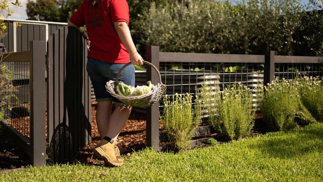 A person wearing a red T-shirt with "Warehouse Saving" written on it is holding a basket filled with cauliflower