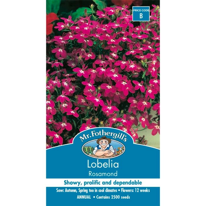 Mr Fothergill's Lobelia Rosamond