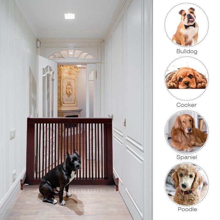 Indoor dog fence bunnings sale