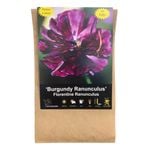 Yarra Valley Bulbs Smlpk Ranunculus Florentin Bur