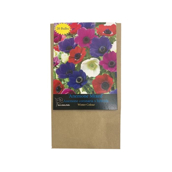 Yarra Valley Bulbs Anemone De Caen Mixed - 20 Pack